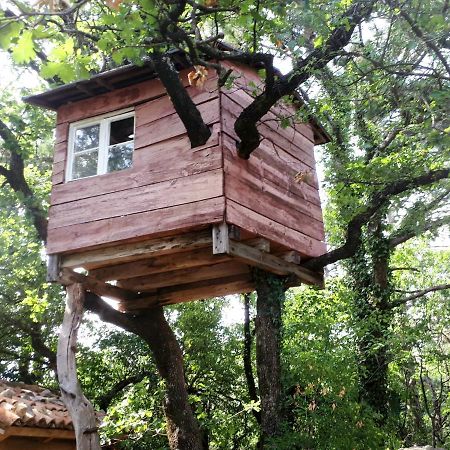 Villa Katarina Branik Ngoại thất bức ảnh