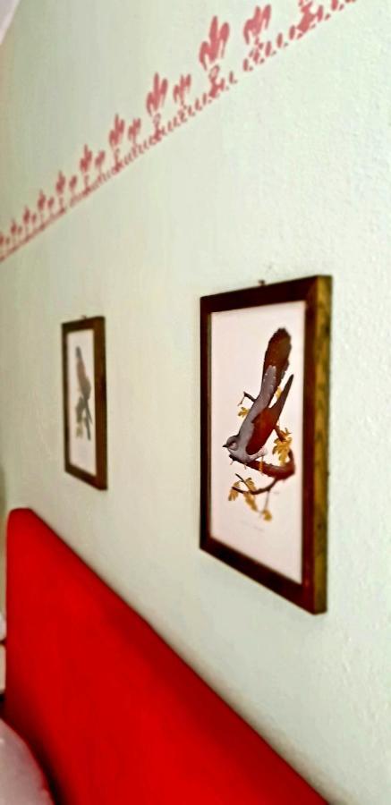 Villa Katarina Branik Ngoại thất bức ảnh